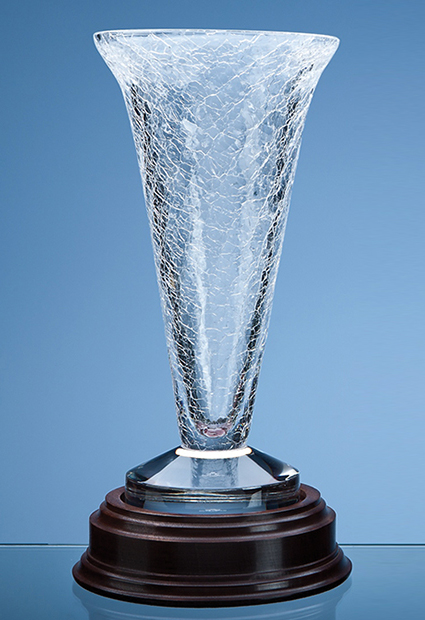 Large image for Mario Cioni Lead Crystal Crackle Vase